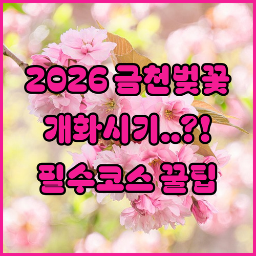 2026 금천구 벚꽃 개화 예상 시기 및 축제장 가는 방법