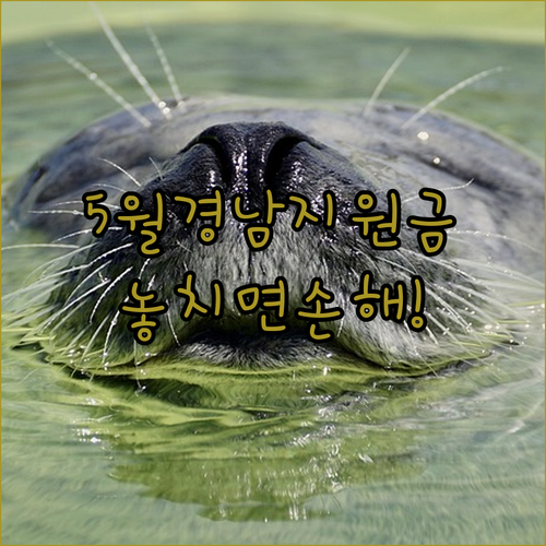 5월 경남 도민 지원금 자격 요건과 온라인 접수처