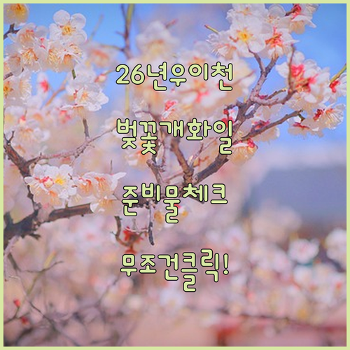 2026년 우이천 벚꽃 개화 예상일 및 현장 방문 준비물