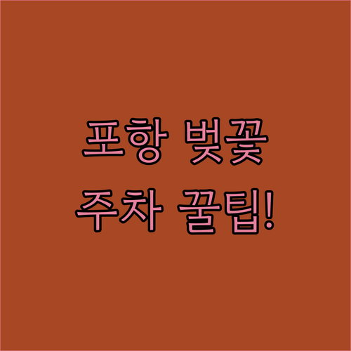 2026 포항 벚꽃 나들이 명소 추천 및 주차장 이용 방법