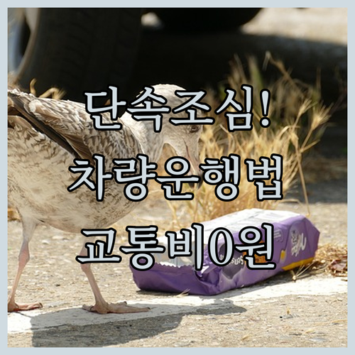 미세먼지 저감조치 차량 운행 수칙 | 대중교통 이용 혜택과 참여 방법