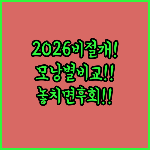 2026년 비절개 모발이식 가격 비교 | 모낭 수별 평균 비용과 주의점