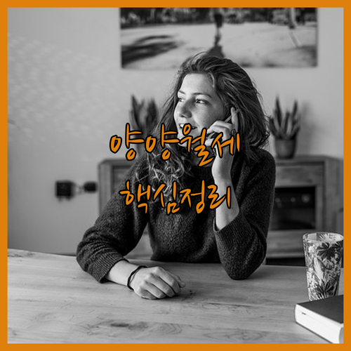 2026년 양양군 청년 월세 지원 소득 기준 및 선정 절차