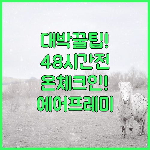 에어프레미아 출발 48시간 전부터 가능한 온라인 체크인 방법