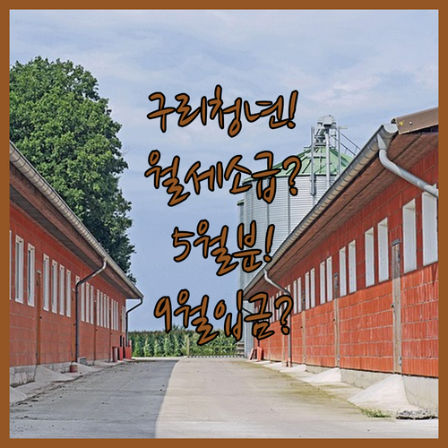 구리시 청년월세 5월분 소급 지급 | 9월 말 일괄 입금