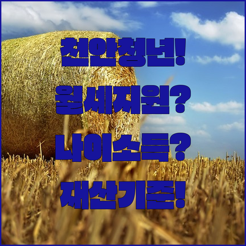 천안 청년월세지원 나이 소득 재산 기준 한눈에