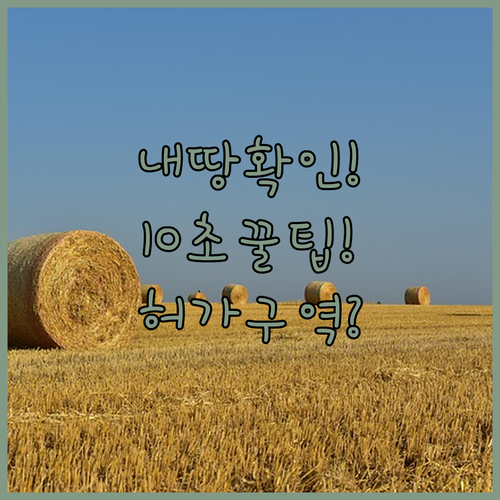 내 땅이 토지거래허가구역인지 10초 만에 확인하는 법