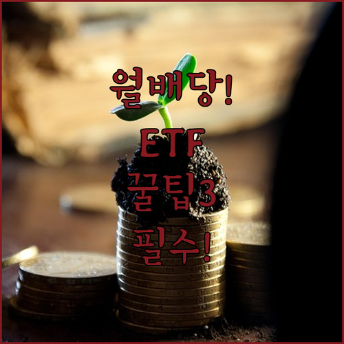 image 03d3b805