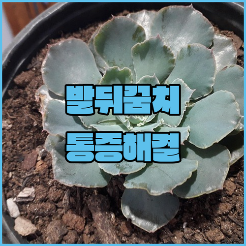 image 8b7804aa