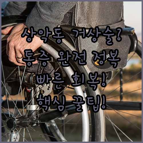 상악동 거상술 수술 후 빠른 회복을 위한 생활 수칙 정리