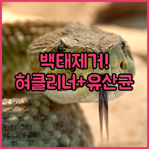 image a7600722