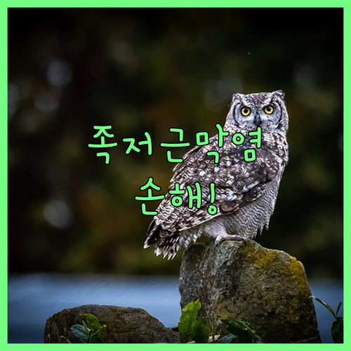 image abf59e85