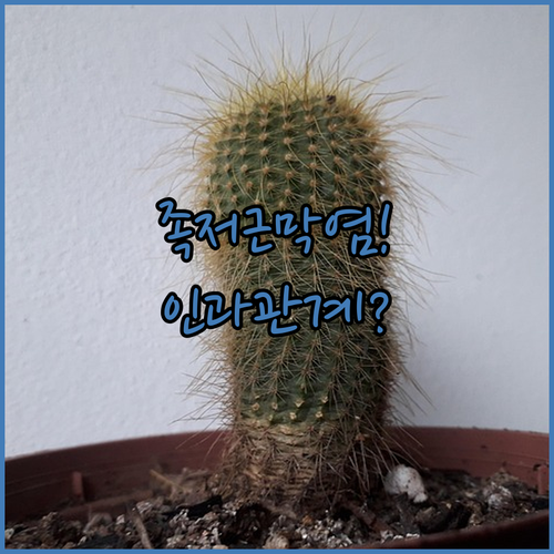 image b526a523