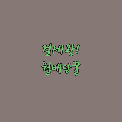 image eb8d1e72